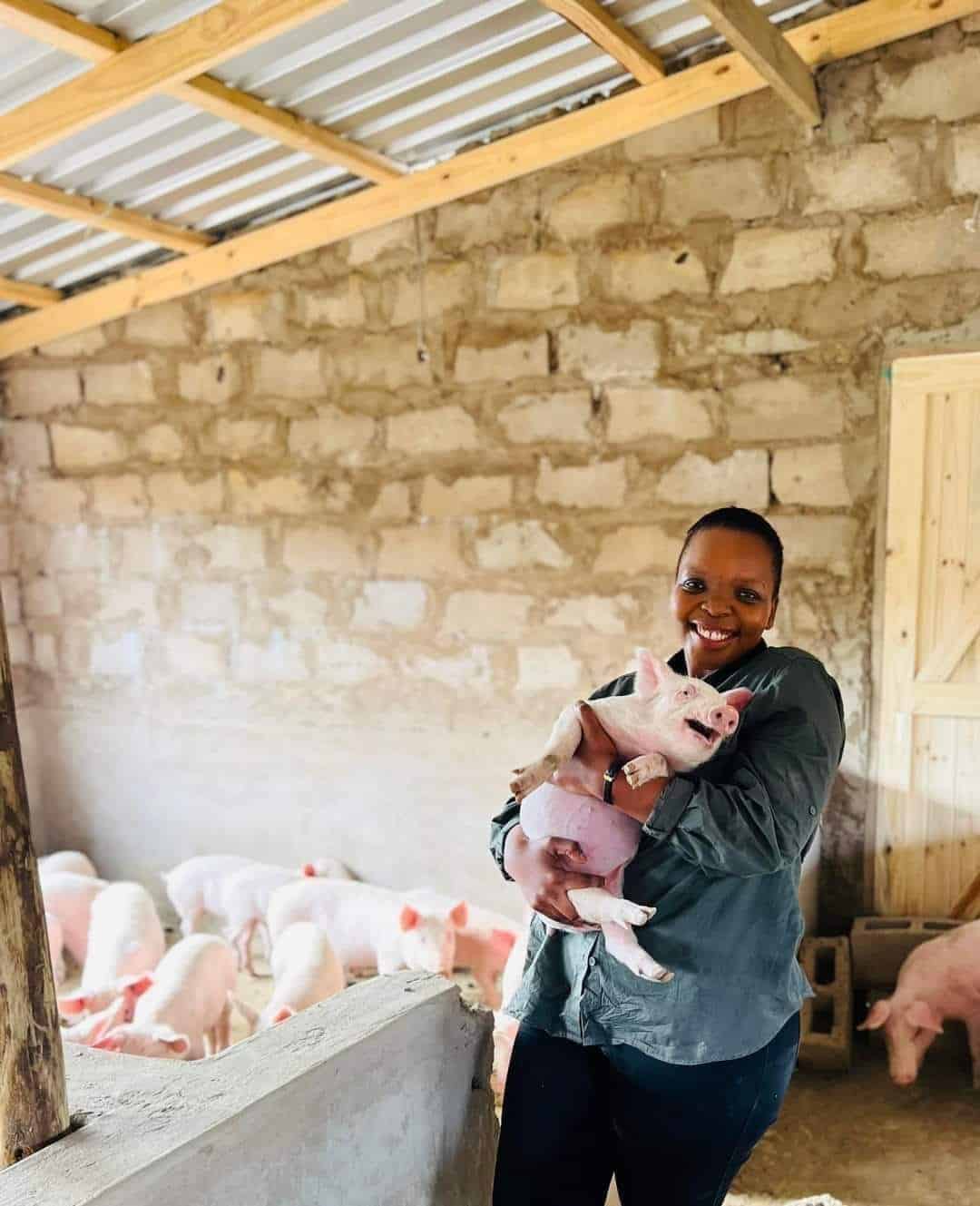 Former teacher inspires many as she starts pig farming with savings